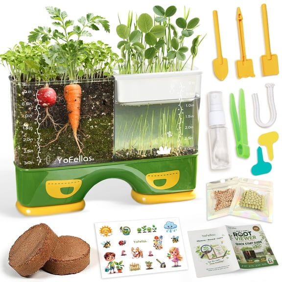 Kids Root Viewer STEM Science Kit – Grow & Observe Plants, Screen-Free Educational Toy for Kids 6-12