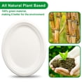 thumbnail image 5 of 500 Pack 10" x 12.5" Inch Paper Plates, 100% Compostable Paper Plates, Eco-Friendly Heavy Duty Disposable Plates for Picnics, Dinner, Birthday Party, Camping, BBQ, 5 of 7