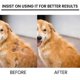 thumbnail image 4 of 1-3 piezas de potenciador del pelo de mascotas, reparación de la caída del cabello, cuidado del folículo piloso dañado, spray acondicionador para el pelo de perros y gatos, 3 piezas, 4 of 5