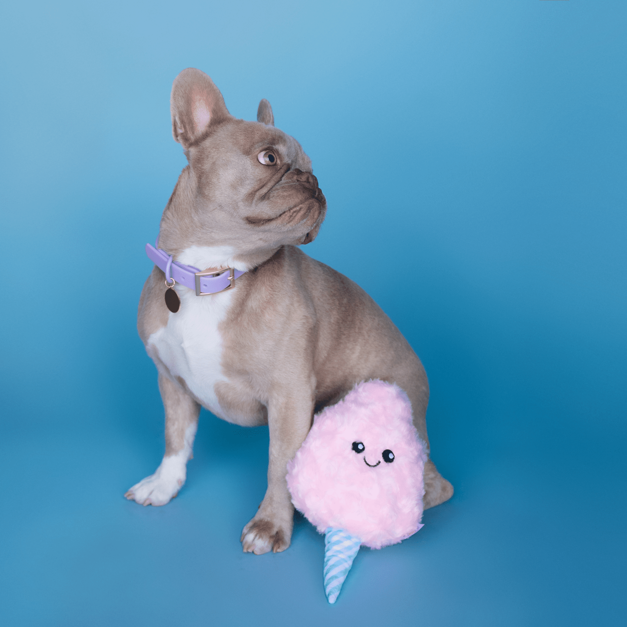 Bundle x Joy Cotton Candy Plush for Dogs with Squeaker, Crinkle & Softness for Added Joy