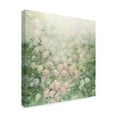 thumbnail image 2 of Trademark Fine Art 'Dreamy Pink' Canvas Art by Julia Purinton, 2 of 3