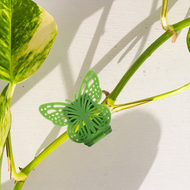 Nestingho 20Ud Clips Plásticos Para Plantas Trepadoras Con Adhesivo Para Soporte En Pared