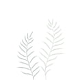 thumbnail image 2 of 1x Studio II 14x18 Gold Ornate Wood Framed with Double Matting Museum Art Print Titled - Pale Plants, 2 of 4