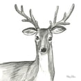 thumbnail image 2 of Wilson, Kelsey 15x15 White Modern Wood Framed Museum Art Print Titled - Watercolor Pencil Forest VIII-Deer, 2 of 4
