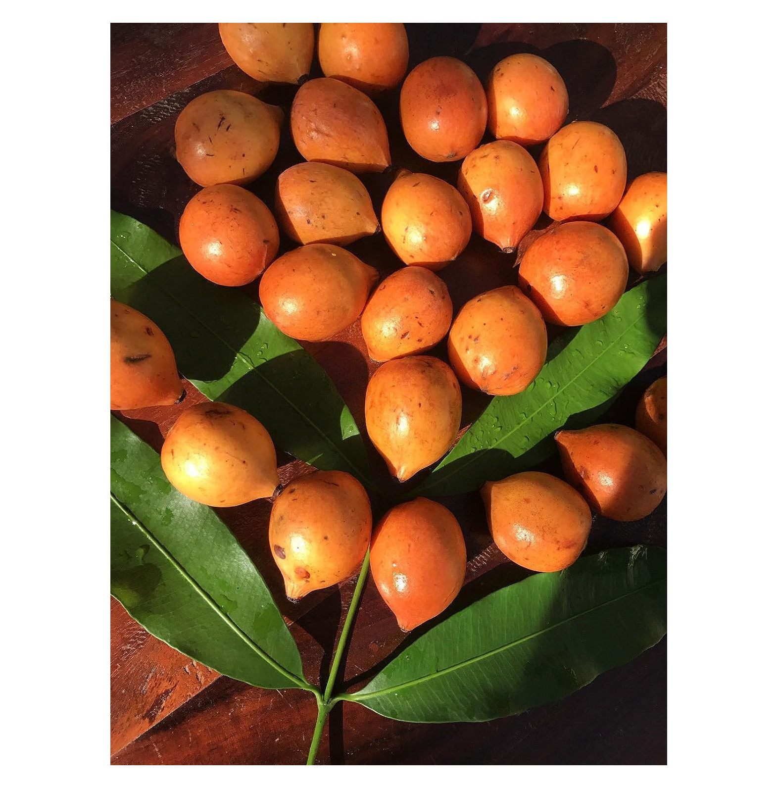Achachairu Garcinia Humilis Orange Mangosteen Tropical Fruit Tree Starter Plant - image 5 of 8