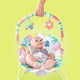 thumbnail image 4 of OTRAS MARCAS BRIGHTSTARTS BOUNCER VIBRACIOES FLAMINGO Otras Marcas Flamingo Vibes, 4 of 4