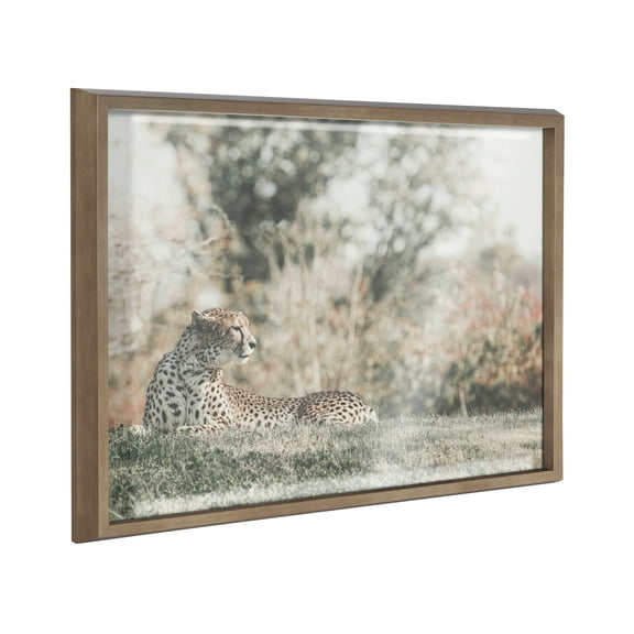Blake Cheetah 24 in x 18 in Framed Photography Art Prints, by Kate and Laurel