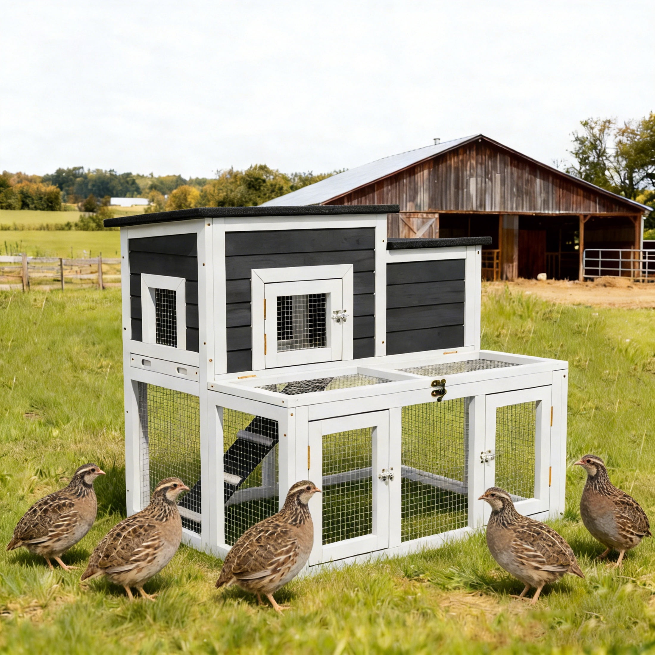 Outdoor 2-Tier 2-Room Quail Hutch with Brooder Box & Activity Area, Openable Asphalt Roof, Black with White