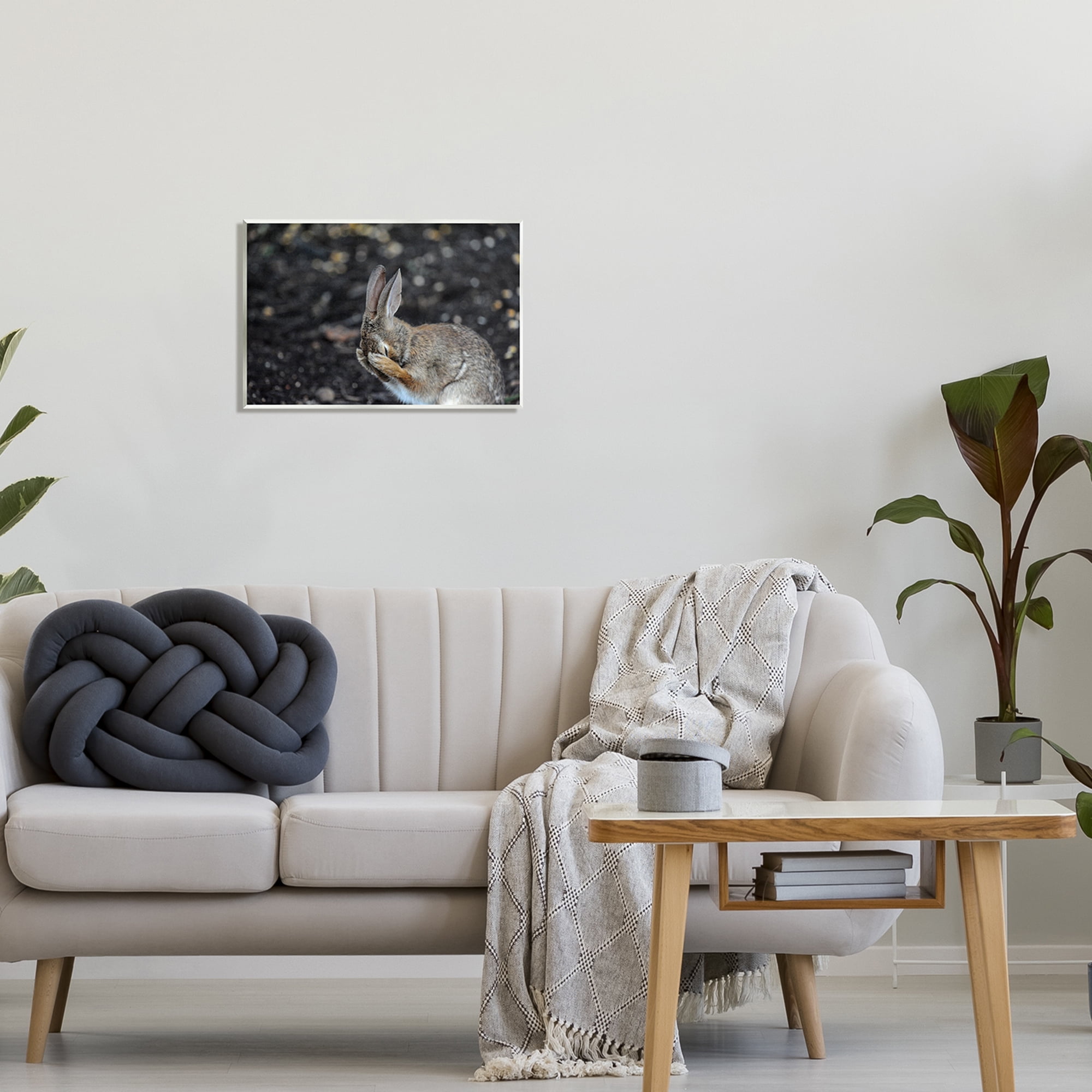 Stupell Industries Embarrassed Rabbit Photograph Animals & Insects Photography Unframed Art Print Wall Art, 19 x 13