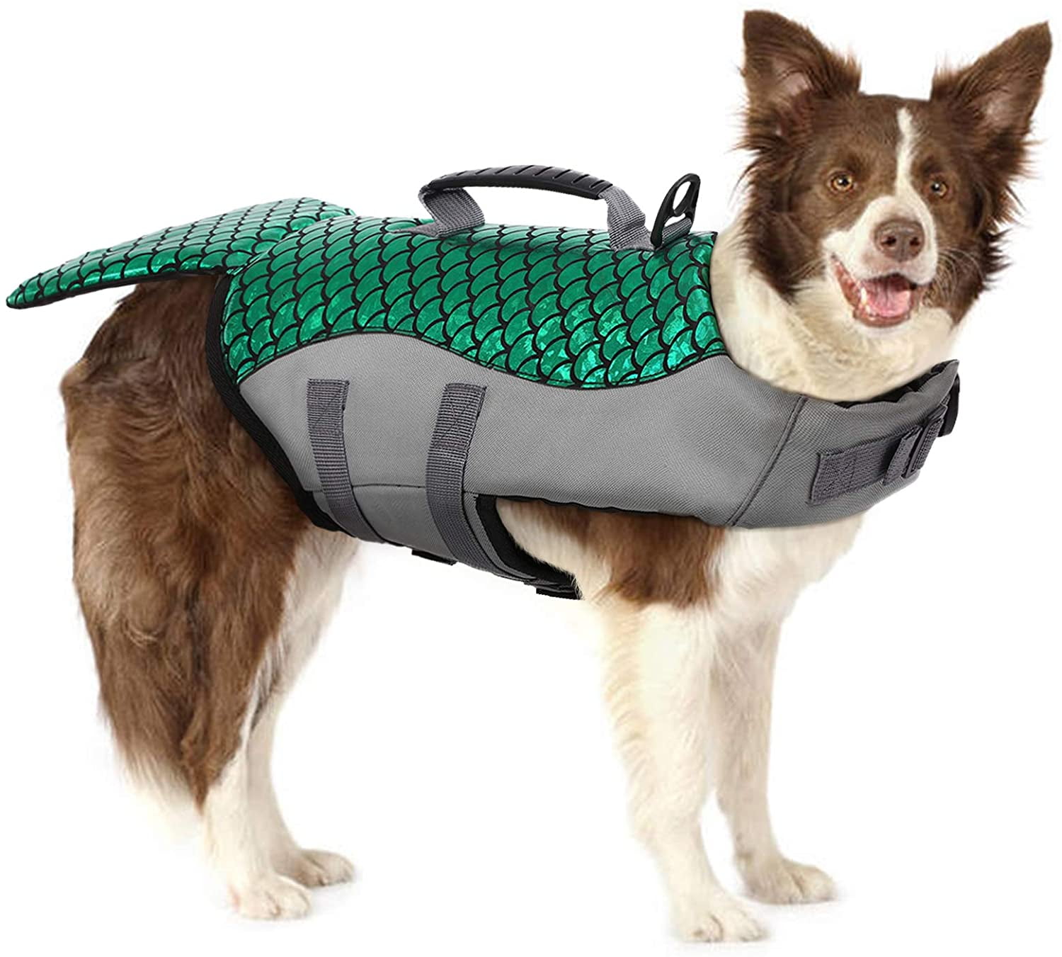 dog life jacket walmart canada