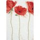 Les Coquelicots de Flamenco Ont Compté le Kit de Point de Croix-12&apos;&apos;X18&apos;&apos; 14 Comte – image 2 sur 2