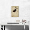 thumbnail image 2 of ARTCANVAS Stag Beetle 1505 Canvas Art Print by Albrecht Durer - Size: 18" x 12" (1.50" Deep), 2 of 9