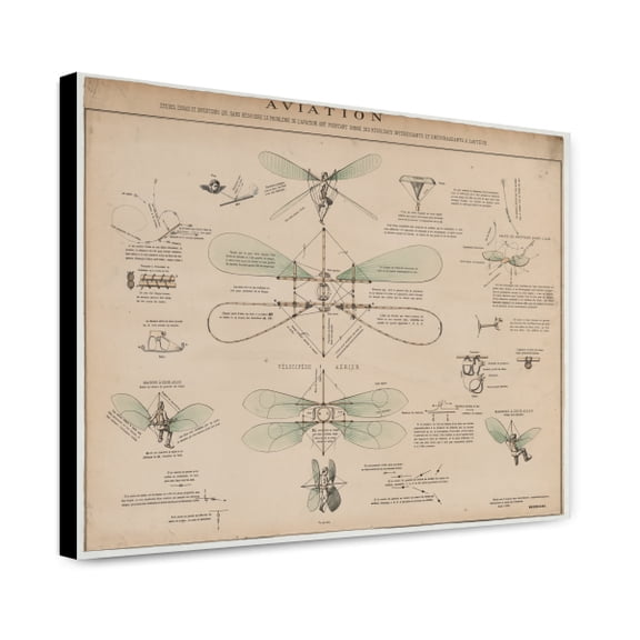 Canvas Print: Aviation, Etudes, Essais Et Inventions Qui, Sans Resourdre Le