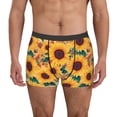 thumbnail image 1 of Fotbe Bohemian Sunflower Calzoncillos Tipo Boxer con Bolsa de Soporte Total para Hombre, X-Temp Fresco, Transpirable y de Secado Rápido-X-Large, 1 of 5