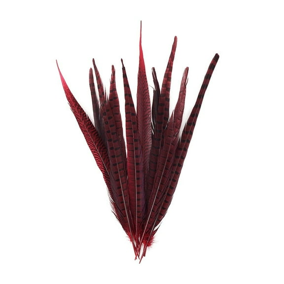 Zucker Feather Products Pheasant Tails Assorted Dyed -14-18" - 10 pcs - Red
