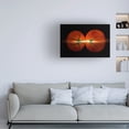thumbnail image 2 of Wieteke De Kogel 'Tomatoes' Canvas Art, 2 of 4