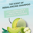 thumbnail image 7 of Garnier Fructis Pure Clean Hair Reset Rebalancing Shampoo with Charcoal, 12 fl oz, 7 of 7