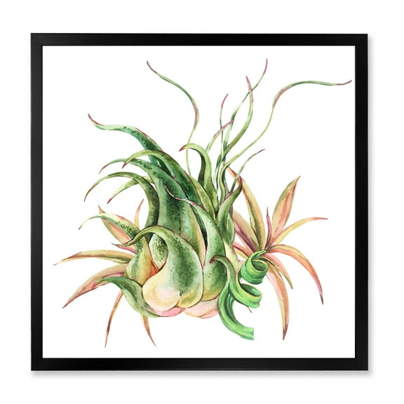 Designart 'Tropical Leaves Air Plant Succulent On White' Farmhouse Framed Art Print