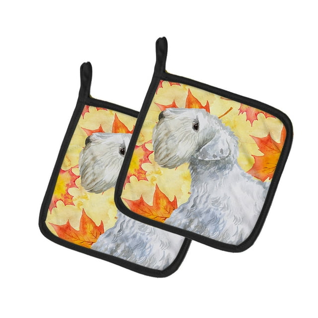 Carolines Treasures BB9945PTHD Sealyham Terrier Automne Paire de Porte-Pots