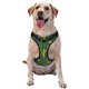 thumbnail image 1 of Balery Cactus 1 Arnés para Perros Grandes Antitirones, Arnés con Correa para Gato, Arnés Tipo Chaleco para Perros Pequeños-Large, 1 of 6