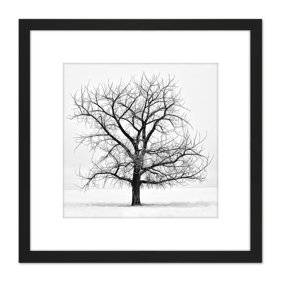 Lone Tree Winter Frost Snow Black White Photo 8X8 Inch Square Wooden Framed Wall Art Print Picture with Mount