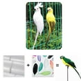 thumbnail image 6 of Cheer.US 25/35cm Parrot, Realistic Parrot Party Decoration with Lifelike Feathers, Artificial Parrot Bird for Tropical Party and Home Décor, Feathered Parrot on Shoulder Prop, 6 of 7