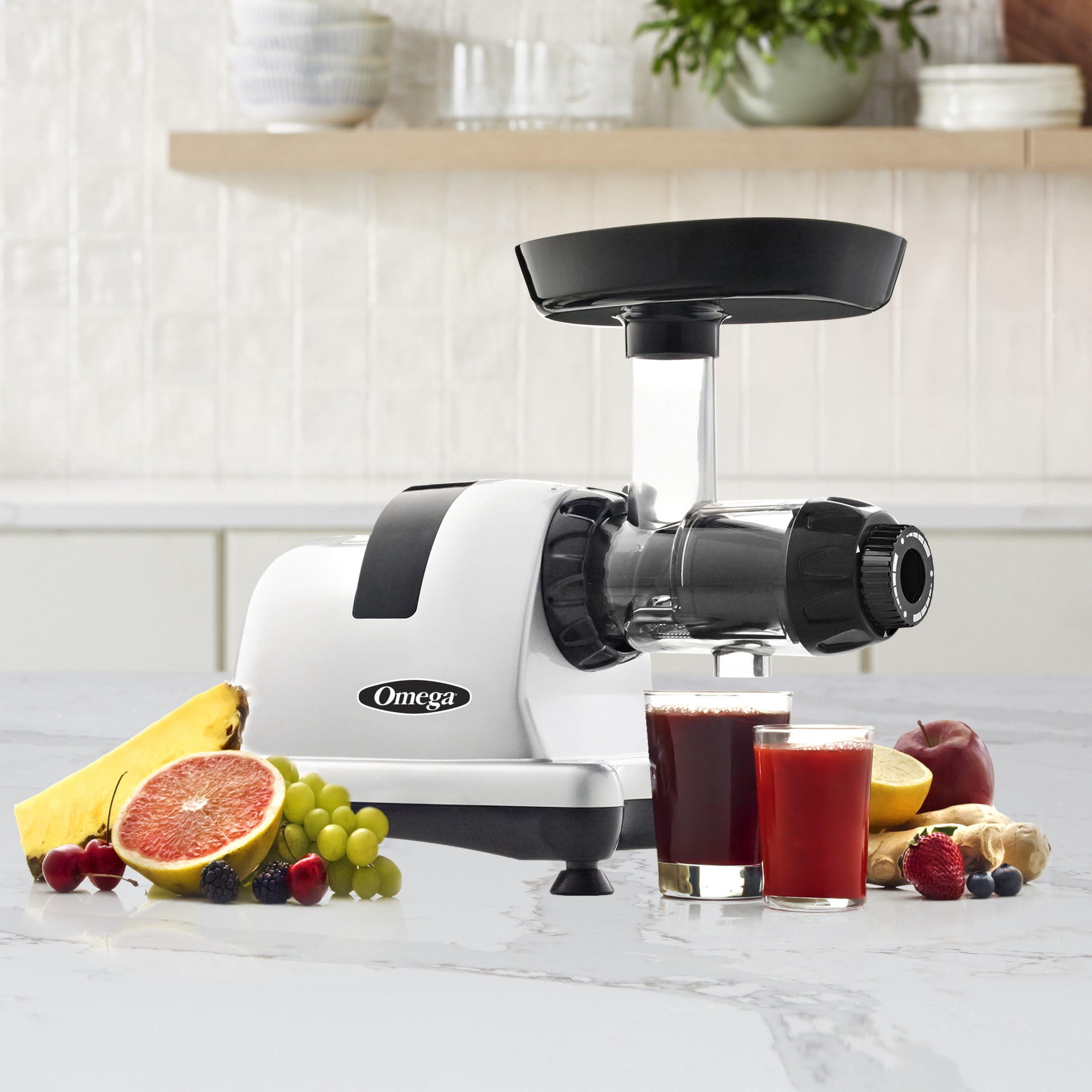 Omega All in One Nutrition System Cold Press Juicer, in Silver (J8006HDS)