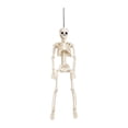 thumbnail image 2 of MInHoues 16" Halloween Hanging Skeleton Decoration, Realistic Posable Skeleton Prop for Haunted House Porch Courtyard Party Scene Display, White, 2 of 6