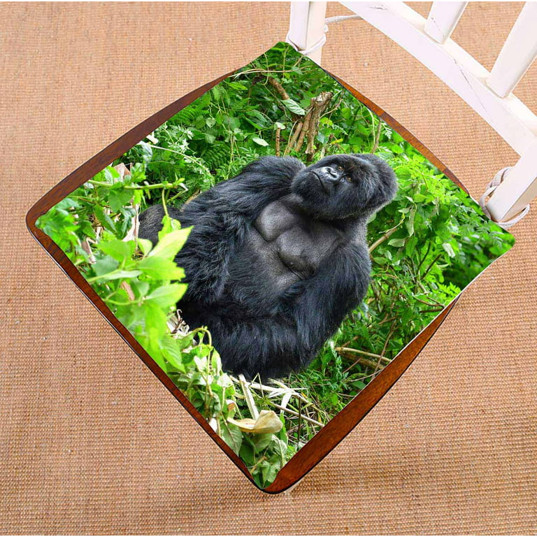 PKQWTM A silverback mountain gorilla in a rainforest in Rwanda Chair Pads Chair  Mat Seat Cushion Chair Cushion Floor Cushion Size 18x18 inches 