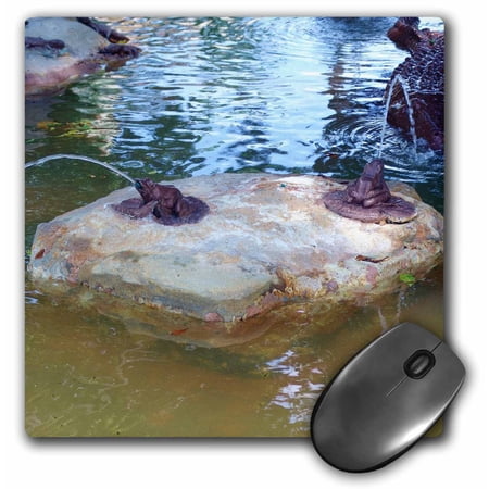 3dRose  Frog Fountain  MousePad price history on PriceWatchPro