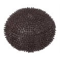 thumbnail image 4 of 3d Puzzle Sea Urchin Educational Toy Afortunado Sencillez, 4 of 5