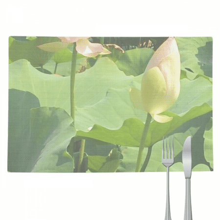 

Lotus Bud Summer Art Deco Fashion Placemat Pad Kitchen Woven Heat Resistant Cushion Rectangle