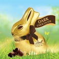 thumbnail image 3 of Lindt Gold Bunny, Dark Chocolate, Easter Chocolate Candy Bunny, 3.5 oz, 1 Count, 3 of 13