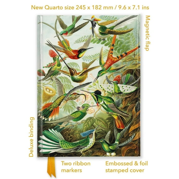 Flame Tree Quarto Notebook Ernst Haeckel: Hummingbirds (Foiled Quarto Journal), (Hardcover)