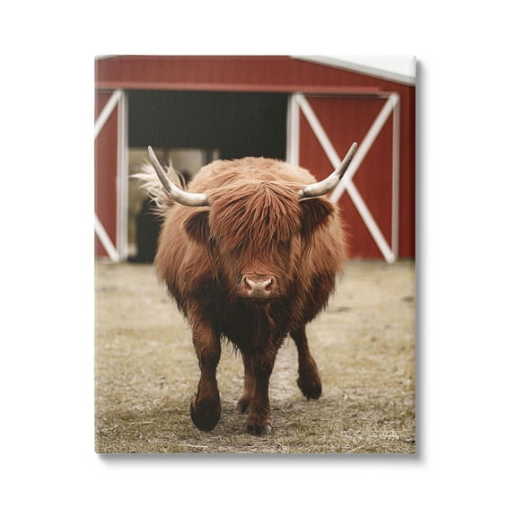 Stupell Industries Trotting Highland Cattle Bold Red Barn Photograph Gallery Wrapped Canvas Print Wall Art, Design by Dakota Diener