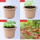 thumbnail image 4 of Zhuge 30 macetas de turba para plántulas, macetas biodegradables de 3,95 pulgadas para vivero de semillas con orificios de drenaje, 4 of 5