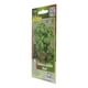 thumbnail image 2 of Semillas Vita Albahaca Grande 0.7 gr, 2 of 3
