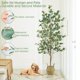 thumbnail image 4 of Cacchiling artificial de eucalipto de 180 cm con tronco de madera, 4 of 7
