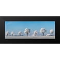 thumbnail image 2 of Krahmer, Frank 18x9 Black Modern Framed Museum Art Print Titled - Alley tree with frost, Bavaria, Germany, 2 of 5