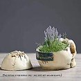 thumbnail image 5 of Halloween Skull Head,Skull Ashtray Plant Pot Resin Human Skull Decor Gift Ornament for Party Halloween Bar Home Scary Decoration, 5 of 5