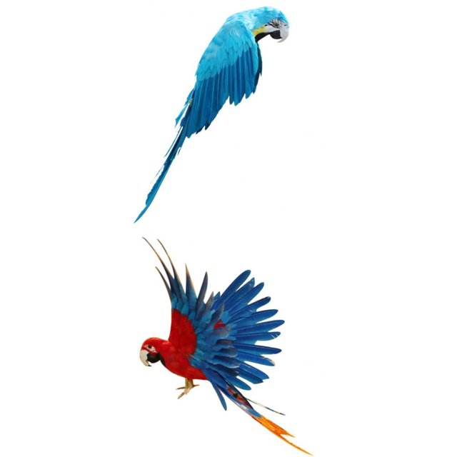 2pcs Estatuil de Pájaro Estatua Decoración Jardín Casero de Adornos para Hogar Jardinería Duradero Gloria Pájaros artificiales decorativos