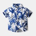 thumbnail image 4 of WOLLED 1-6Y Baby Toddler Summer Hawaiian Shirt for Boys Short Sleeve Button down Shirt Beach Casual Shirts Blouses, 4 of 9