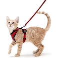 thumbnail image 1 of Arnés para gatos Correa para perros pequeños Arnés ajustable para gatitos (rojo S) Collar reflectante para gatos Chaleco transpirable para conejos, gatos europeos, Maine Coon, personas Rojo Verde Cocina, Decoración y Otros, 1 of 5