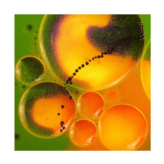 Trademark Fine Art Ileana Bosogea-Tudor Spring Dream Canvas Wall Art