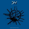 thumbnail image 2 of Sounds Of The Universe - les 12 Pouces Singles, 2 of 2