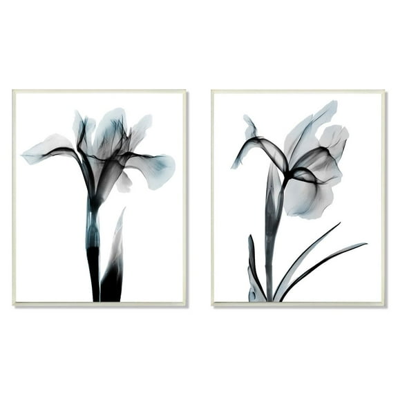 Stupell Industries Contrast Black And Blue Flower Bloom Designs Wall Plaque by Albert Koetsier