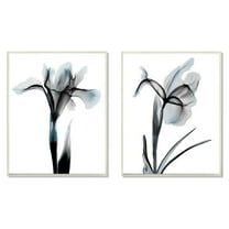 Stupell Industries Contrast Black And Blue Flower Bloom Designs Wall Plaque by Albert Koetsier