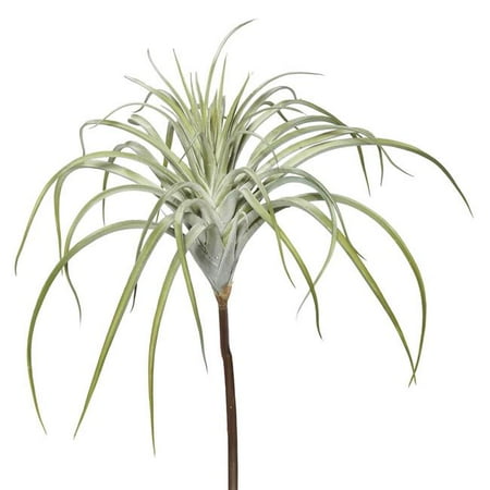 

Vickerman FE172101 20.5 in. Till & Sia Pick