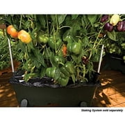 نظام البستنة حاوية EarthBox - أخضر