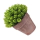 thumbnail image 5 of Maceta falsa Decoración de mesa de flores Flor artificial de plástico Bonsai Simulación de sala de estar Flor en maceta, Verde Methold HA8892-03B, 5 of 6